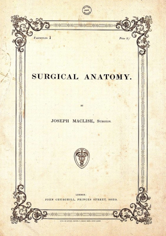 Surgical human anatomy