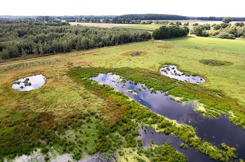 Vreeser Wiesen Bockholter Dose drone image