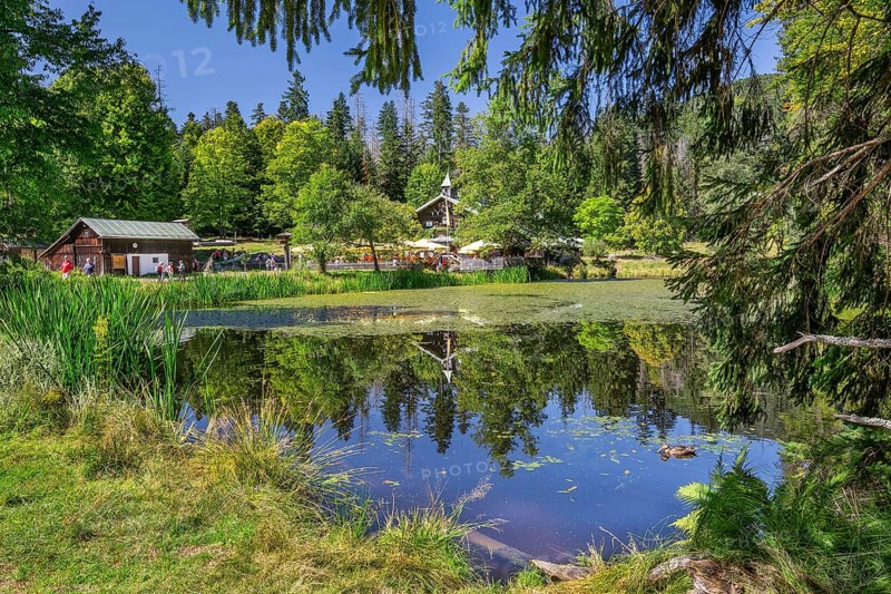 Schwellteich pond with the historic Trifterklause Schwellhaeusl inn in the Bavarian Forest National Park