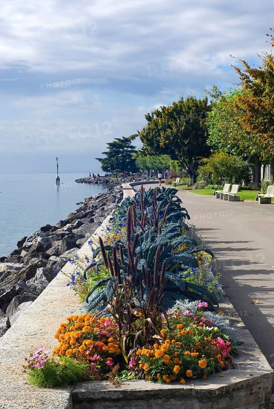 Vevey on Lake Geneva