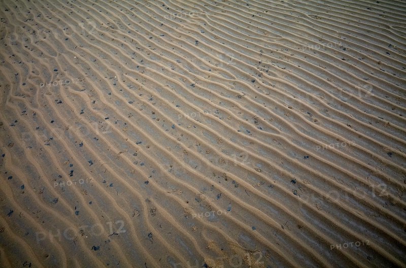 Sand ripples