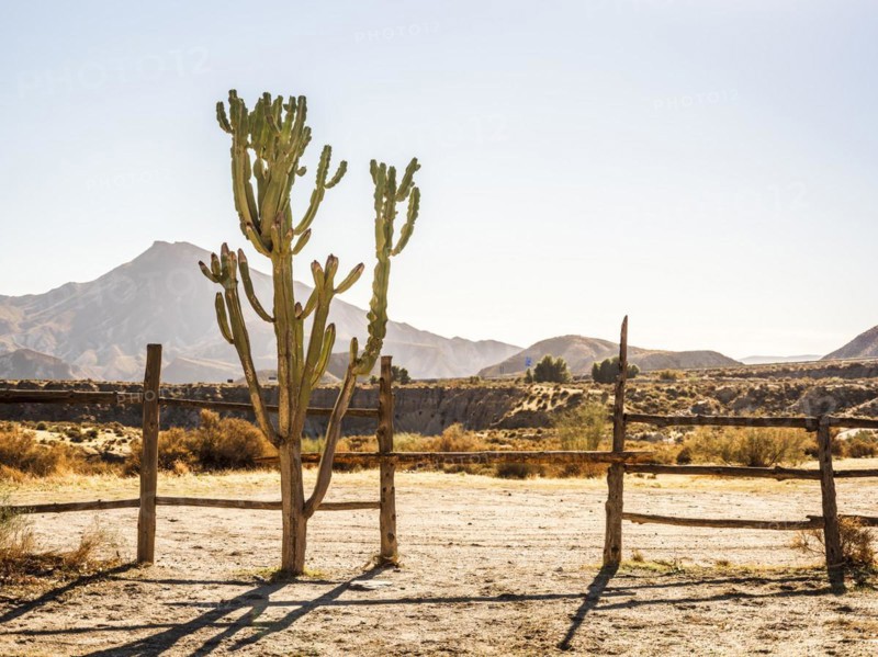 Great view of Tabernas desert