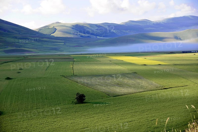 Piano Grande plain