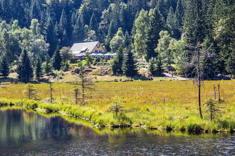 Kleiner Arbersee nature reserve with Seehaeusl inn