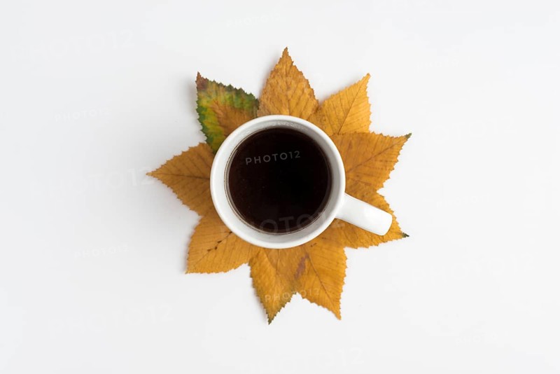 Arrangement with cup autumn leaves
