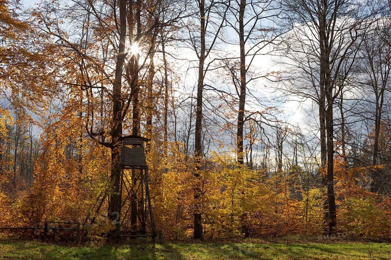 A hunting hide at the edge of a deciduous forest in autumnal colours. Germany