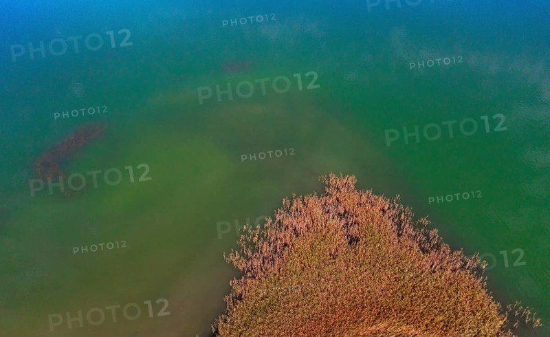 Drone image