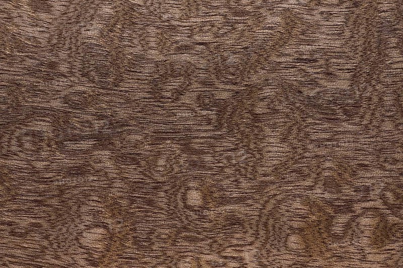 Wood grain of Sapele
