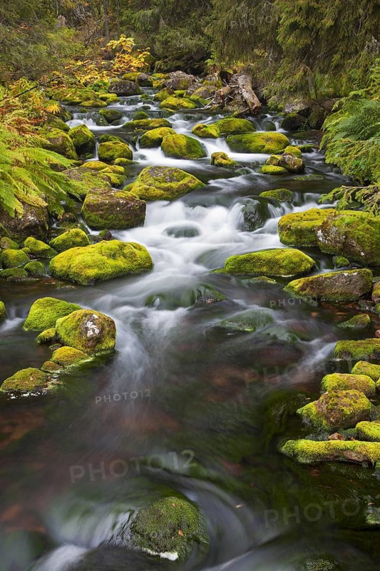 Moss covered boulders in stream Njupan