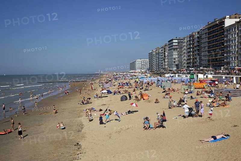 Sunbathers in summer sunbathing behind parasols and windbreaks on beach along the North Sea coast at Belgian seaside resort