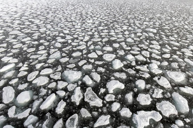 Drift ice