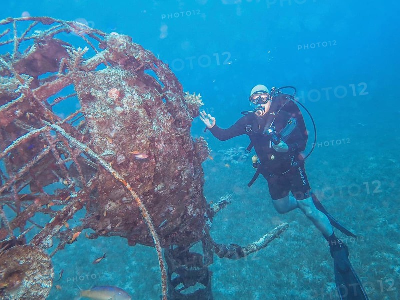 Diver at underwater sculpture elephant