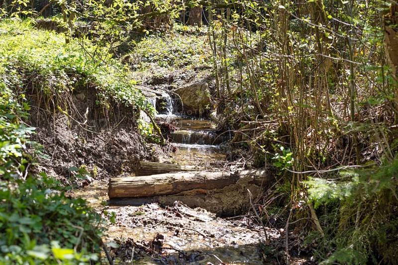 Small brook