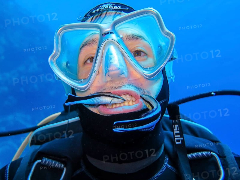 Curious picture: Cleaner fish cleans diver's teeth