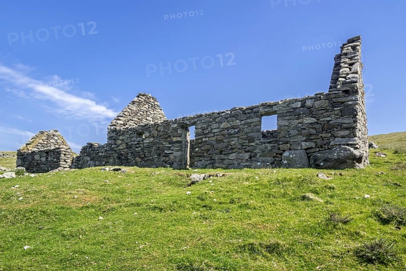 Remains of croft