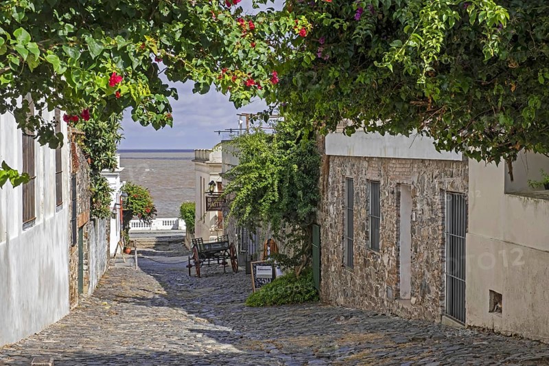 Cobbled street