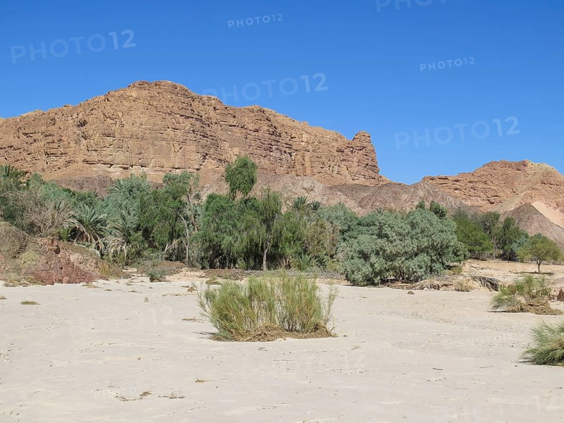 Ein Hudra Oasis