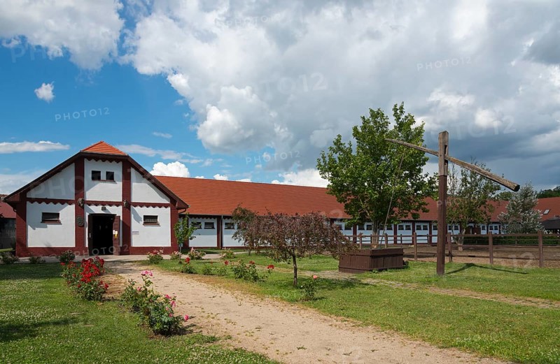 Mata Stud Farm
