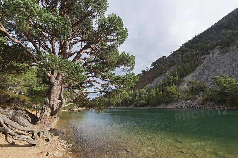 An Lochan Uaine