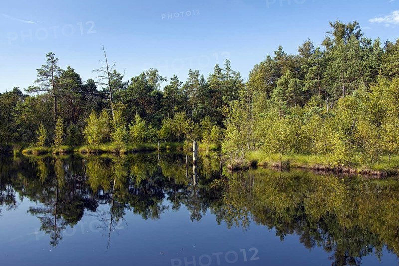 Pietzmoor