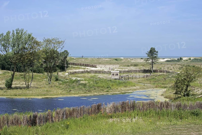 View over birdhide at pond in the Zwin Nature Park