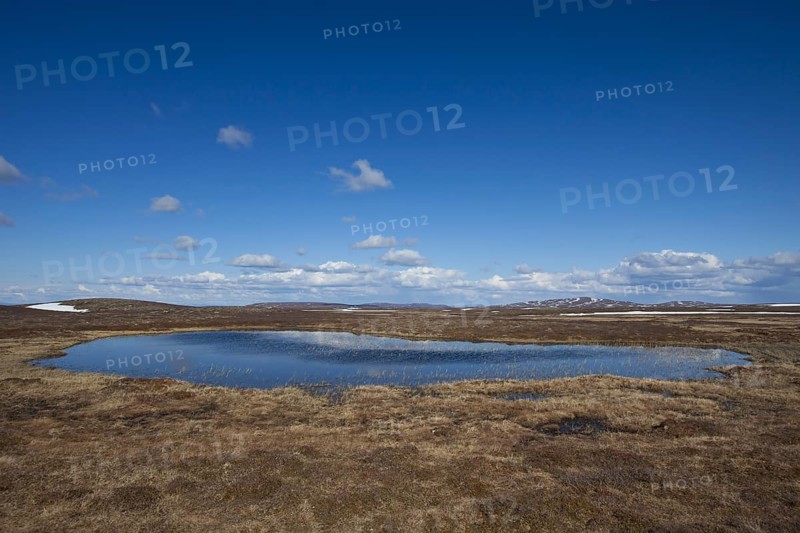 Pond in moorland at the Flatruet plateau