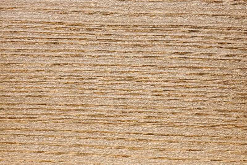 Wood grain of European Ash