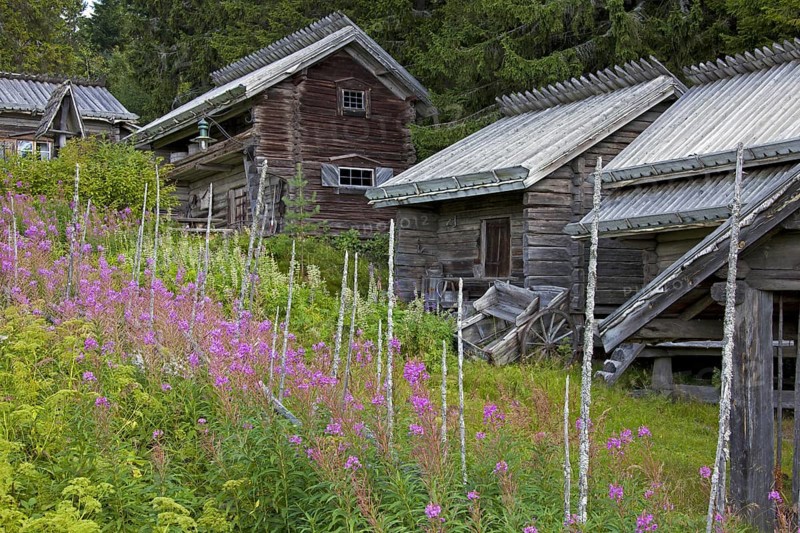 Traditional old wooden cottages