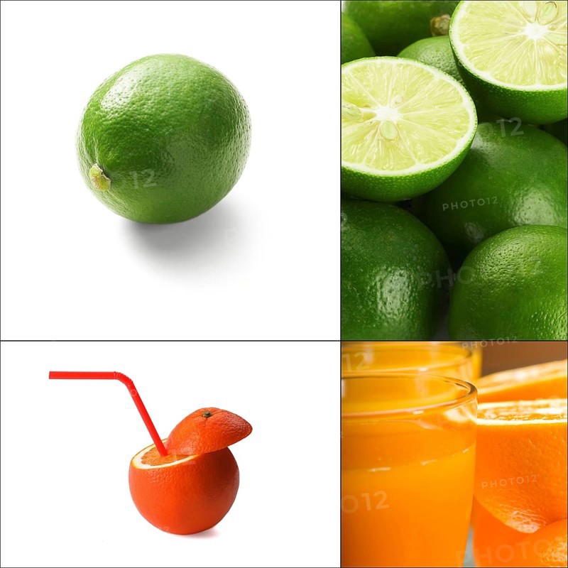 Fresh citrus fruits collage composition nested on a square frame