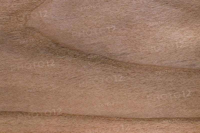 Wood grain of black cherry