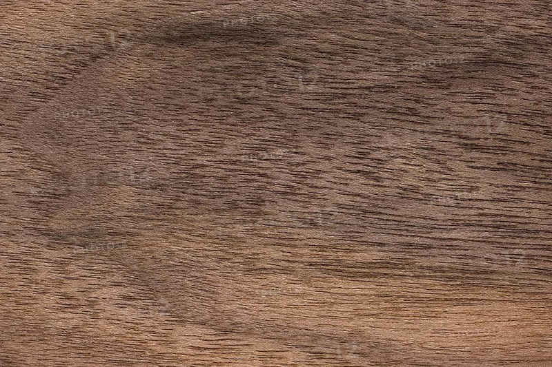 Wood grain of Eastern black walnut
