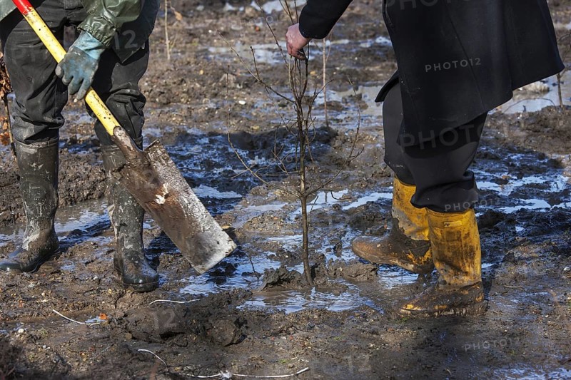 Nature conservationists planting tree on waste land