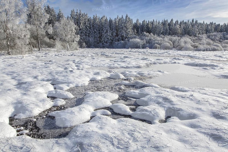 Moorland with frozen pingo in winter at the Hoge Venen