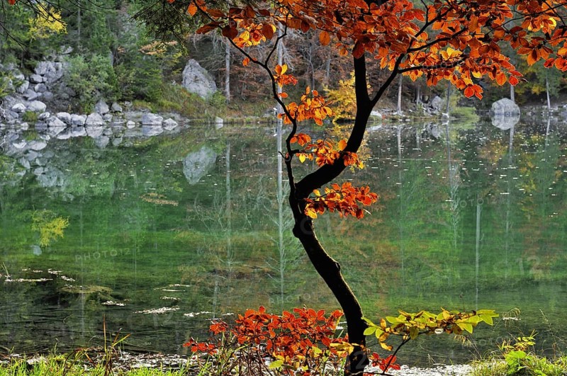 Reflection of autumn colours in the lake Lac Vert