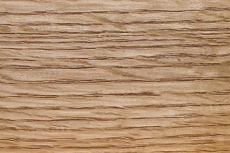 Wood grain of northern red oak