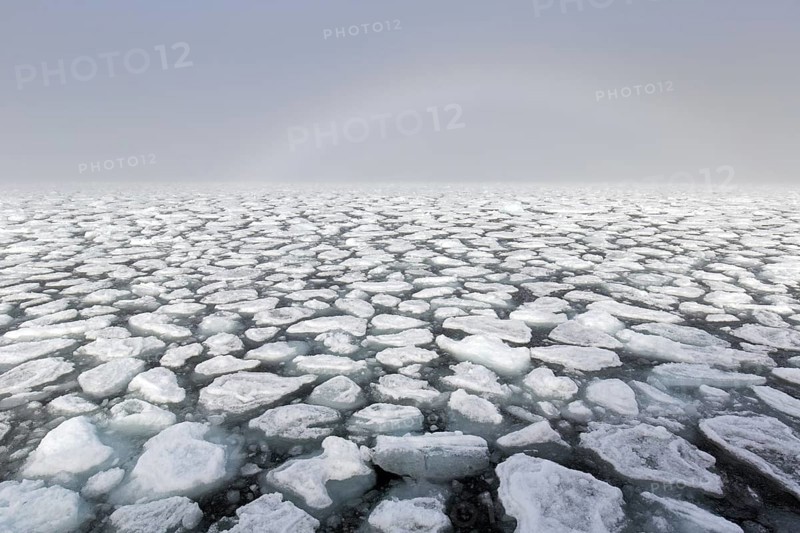 Drift ice