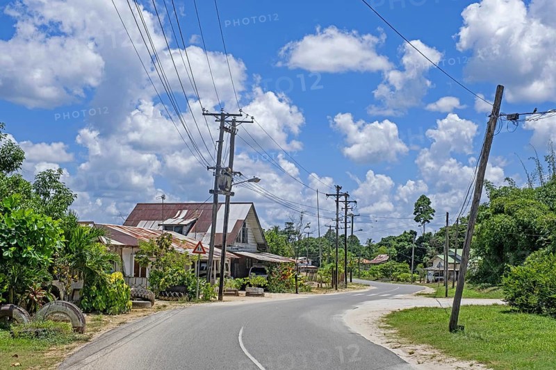 Country road winding through the village Groningen in the Saramacca District
