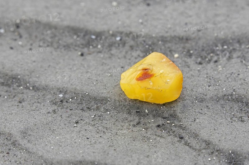 Amber nugget