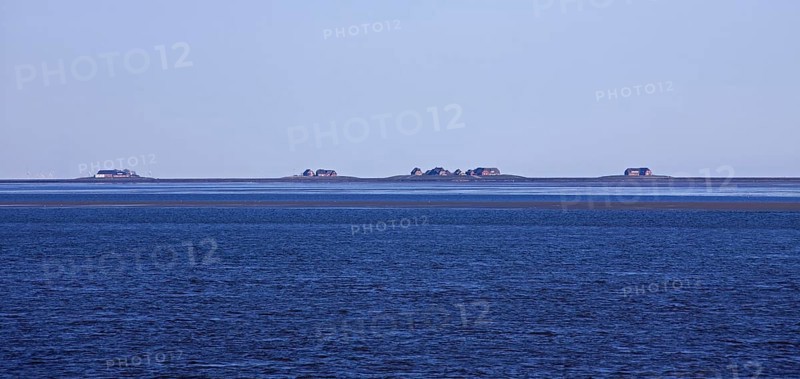 Houses on terps on the halligen islands Langeness
