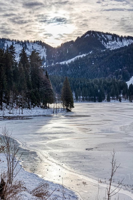 Frozen