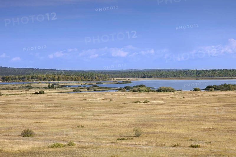 View over the Store Mosse Nationalpark