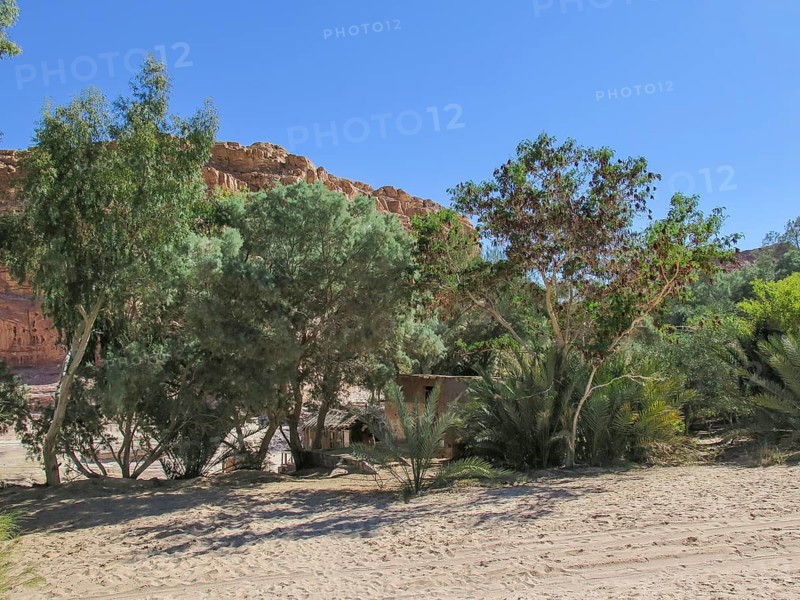 Oasis Ein Hudra