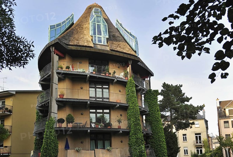 L'Arbre Habite