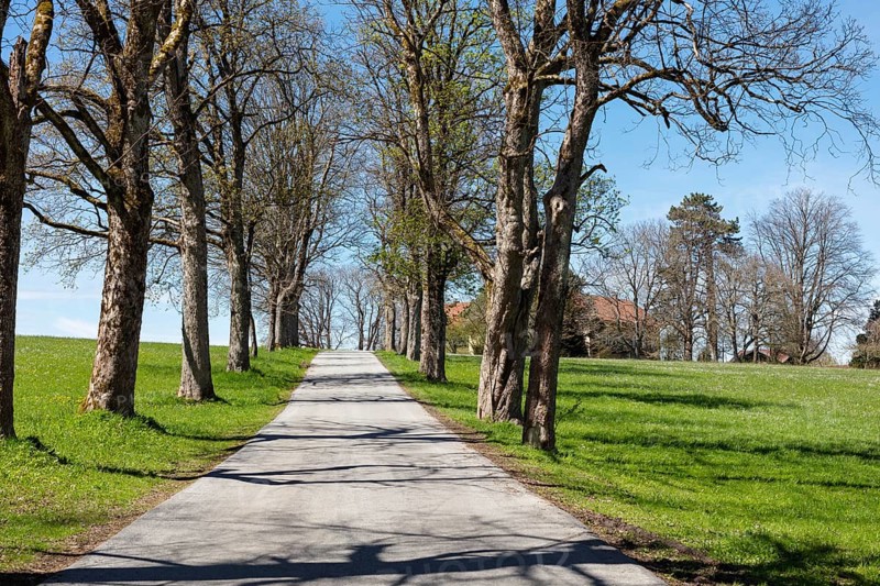 Small road