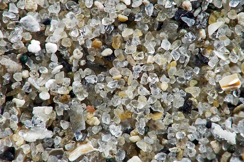 Close up of sea sand grains containing shell fragments