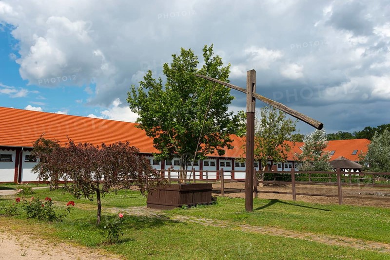 Mata Stud Farm