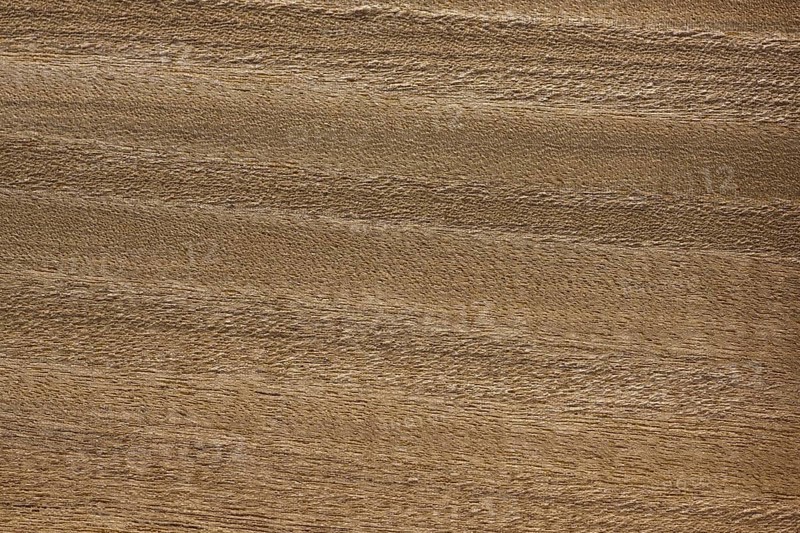 Wood grain of the hardwood Pericopsis elata