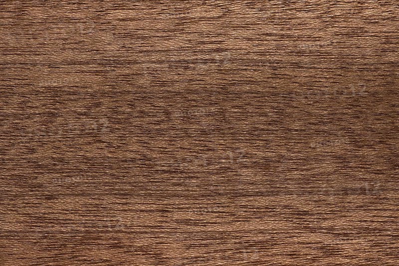 Wood grain of Sapele