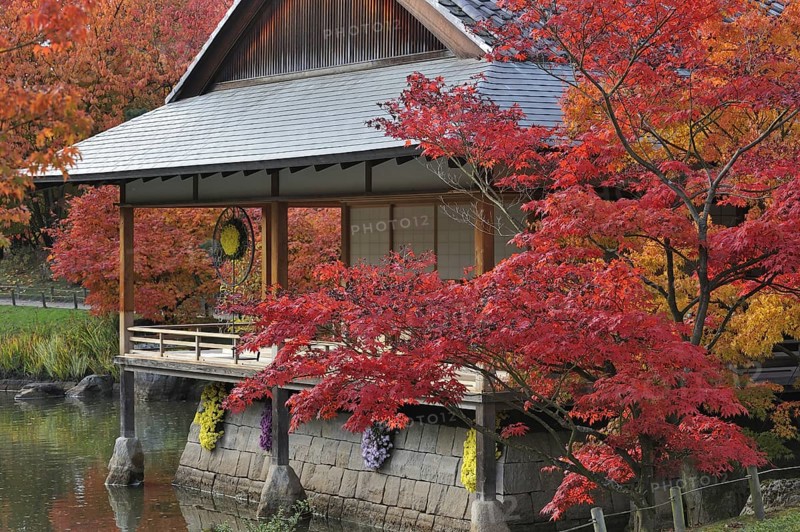 Pavilion