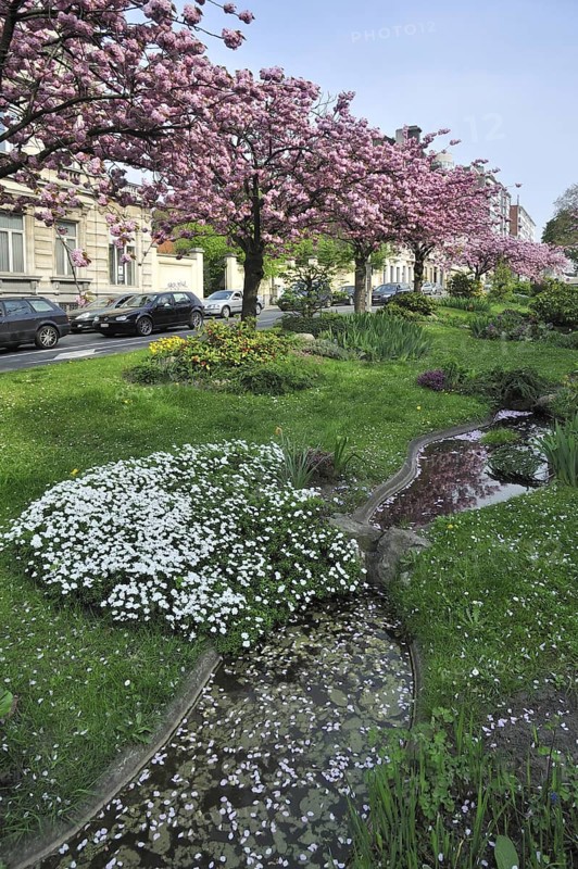 Wide median strip